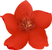 小红花音效助手官方高清Logo