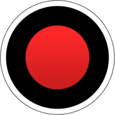 Bandicam官方高清Logo