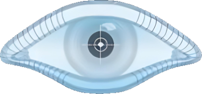 Nmap官方高清Logo