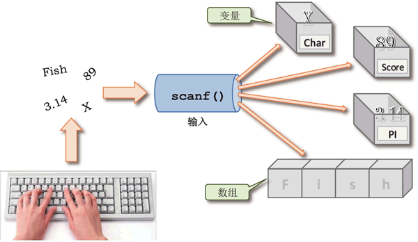 scanf( ) 函数把用户通过键盘输入的值存储到变量中